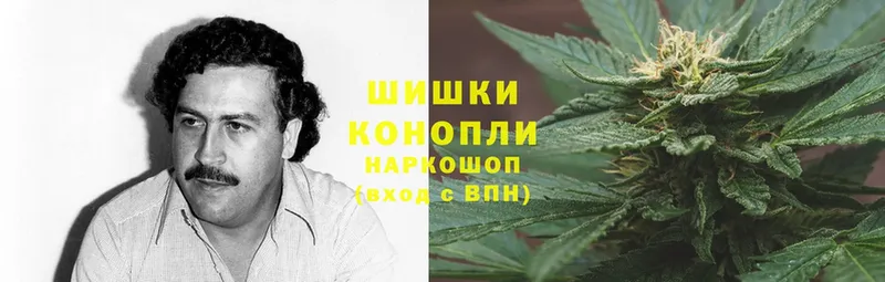 Канабис Ganja  Терек 